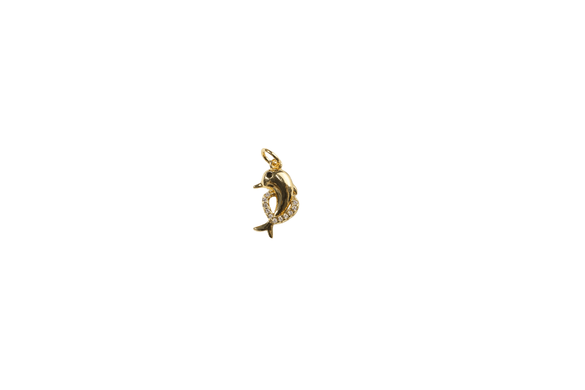 Dolphin Charm