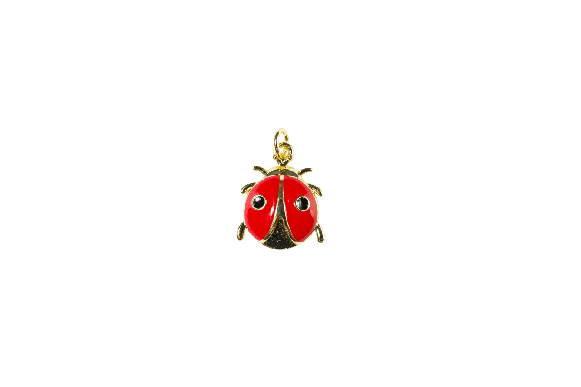 Ladybug Charm