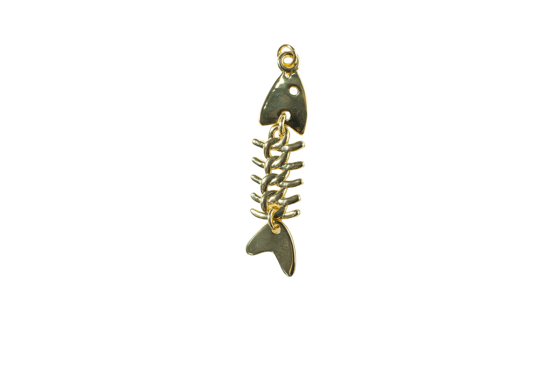 Fish Skeleton Charm