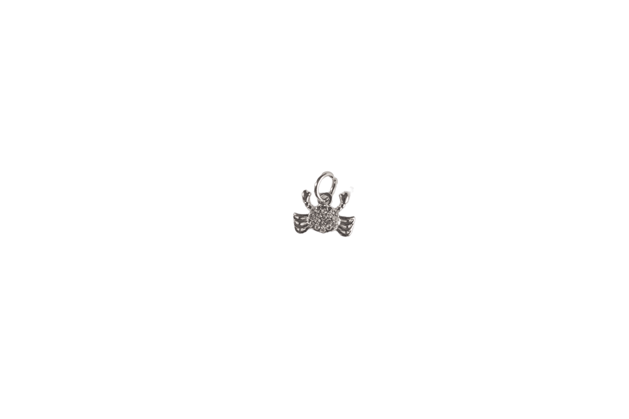 Crab Charm