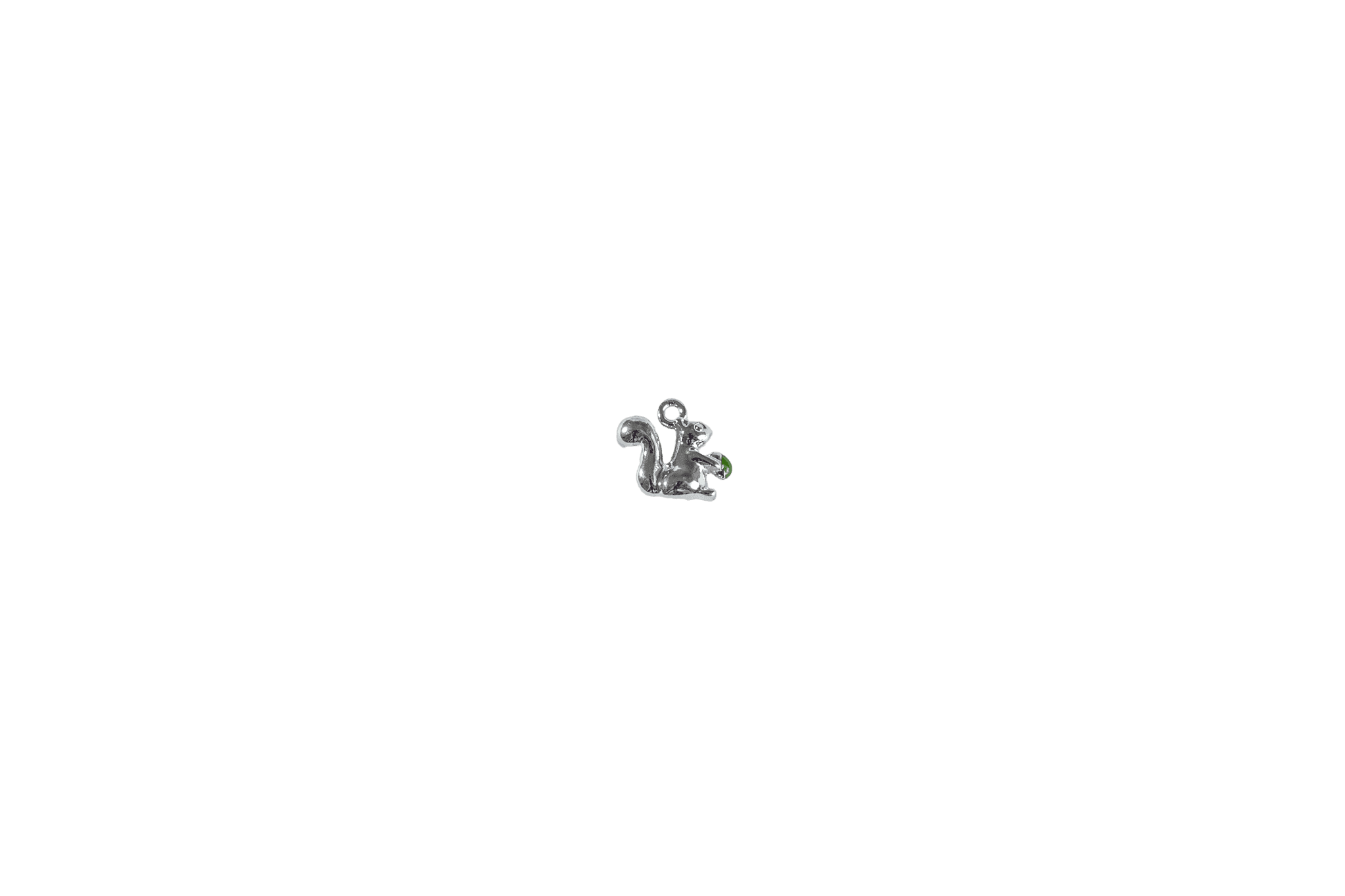 Squirrel Charm