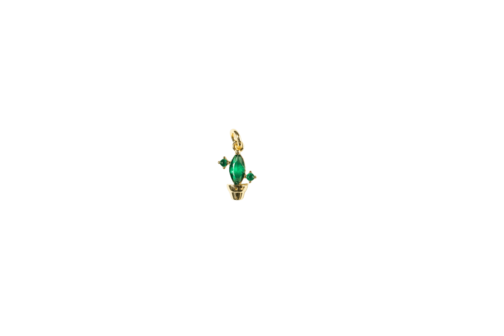 Cactus Charm