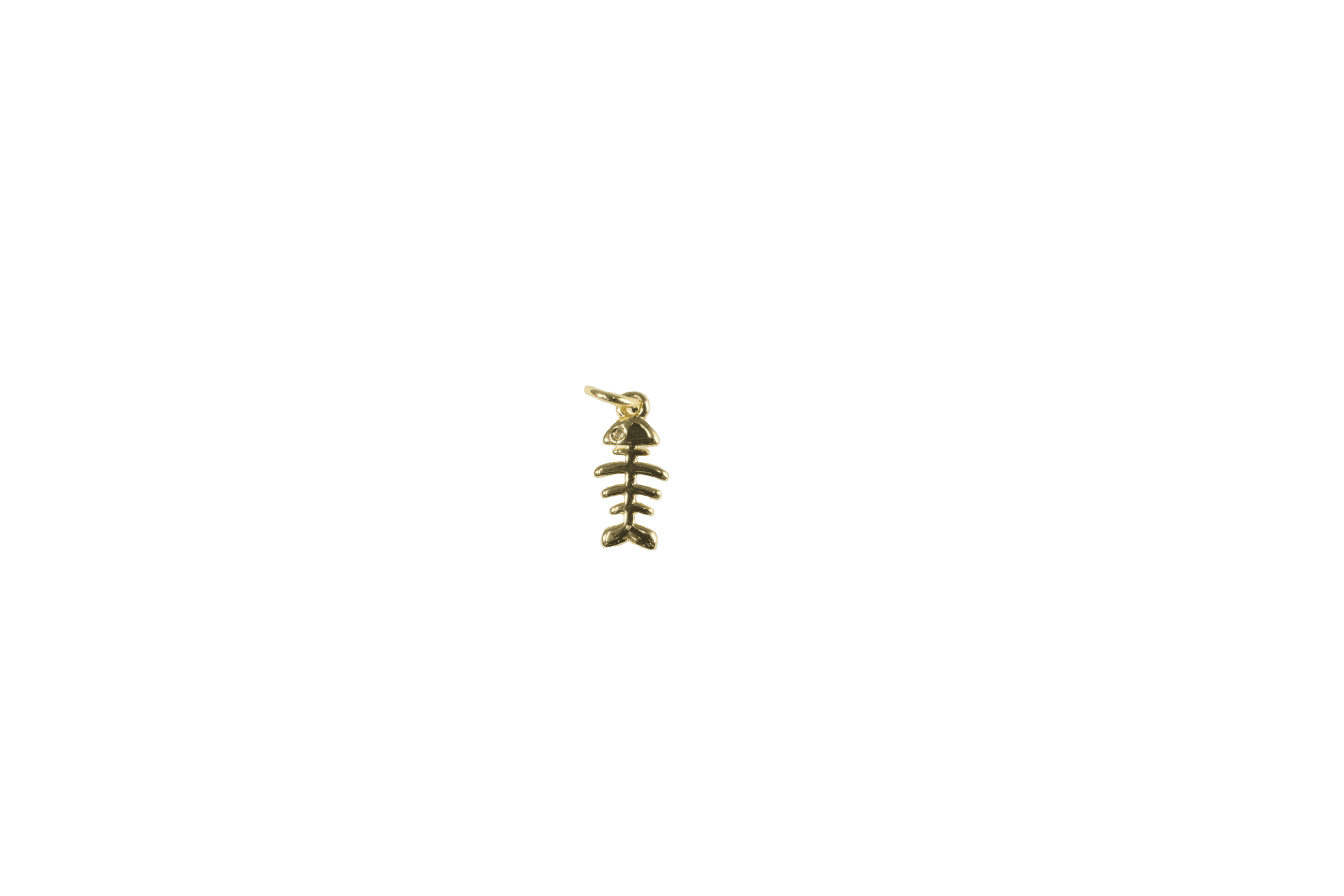 Fishbone Charm