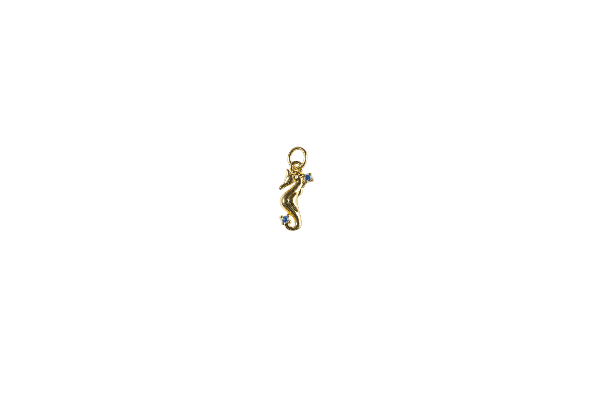 Seahorse Charm