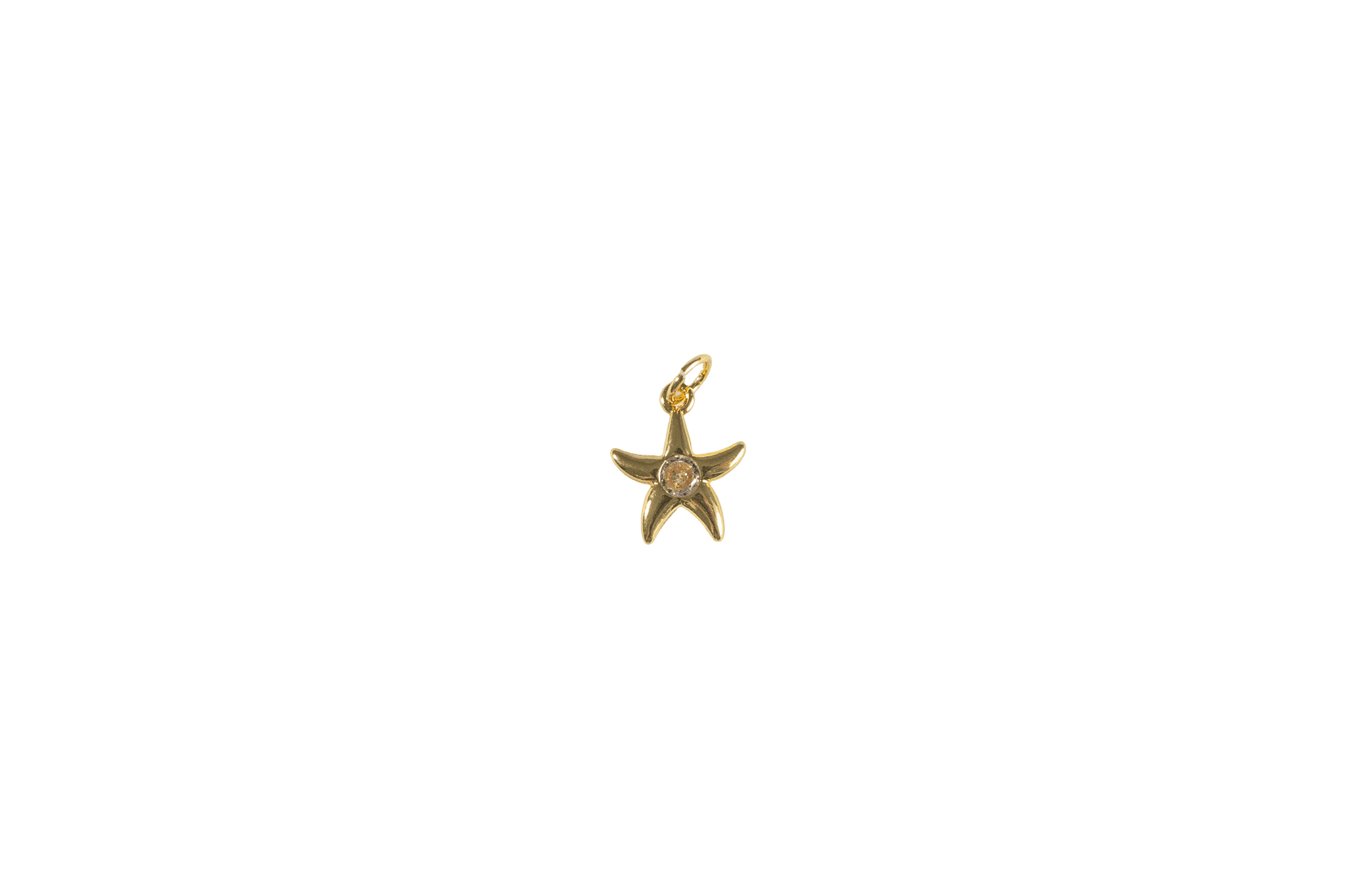Starfish Charm