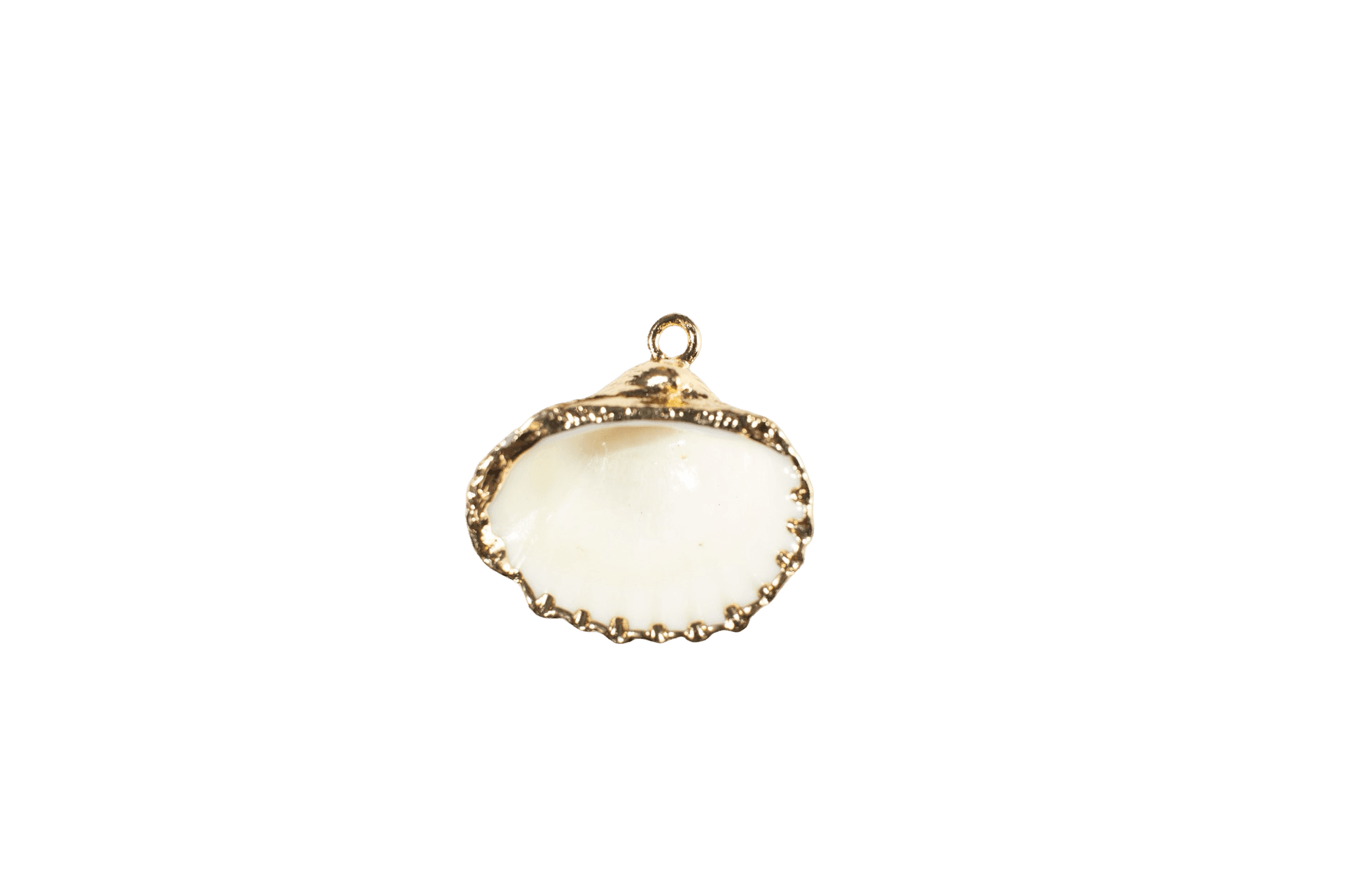 Seashell Charm