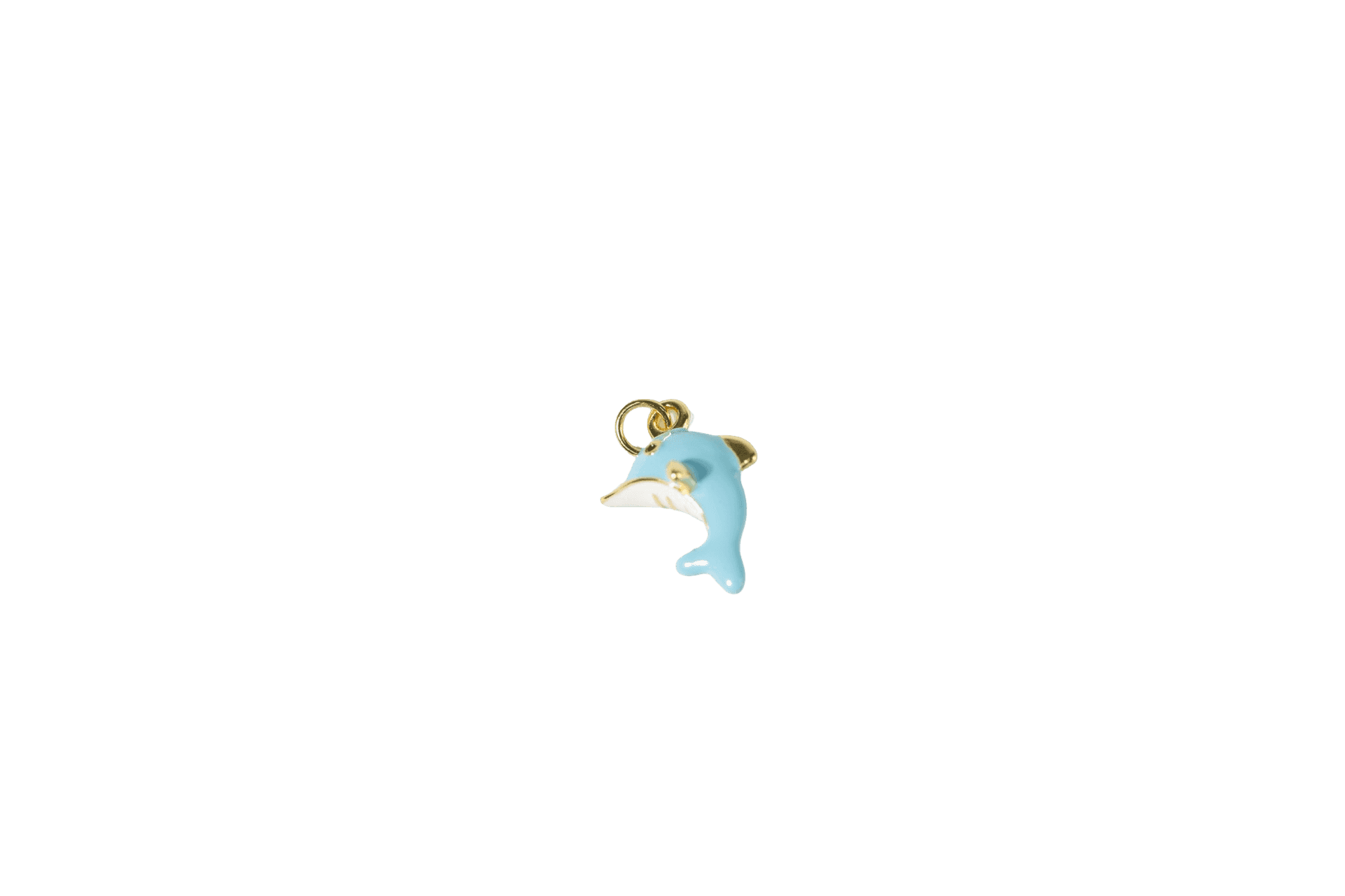 Dolphin Charm