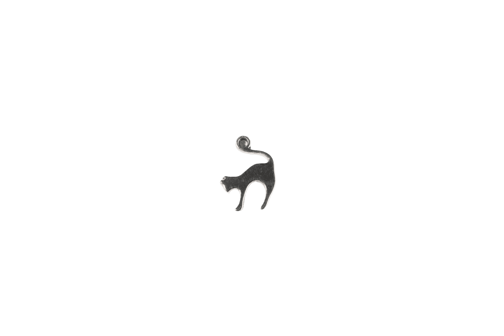 Playful Cat Charm