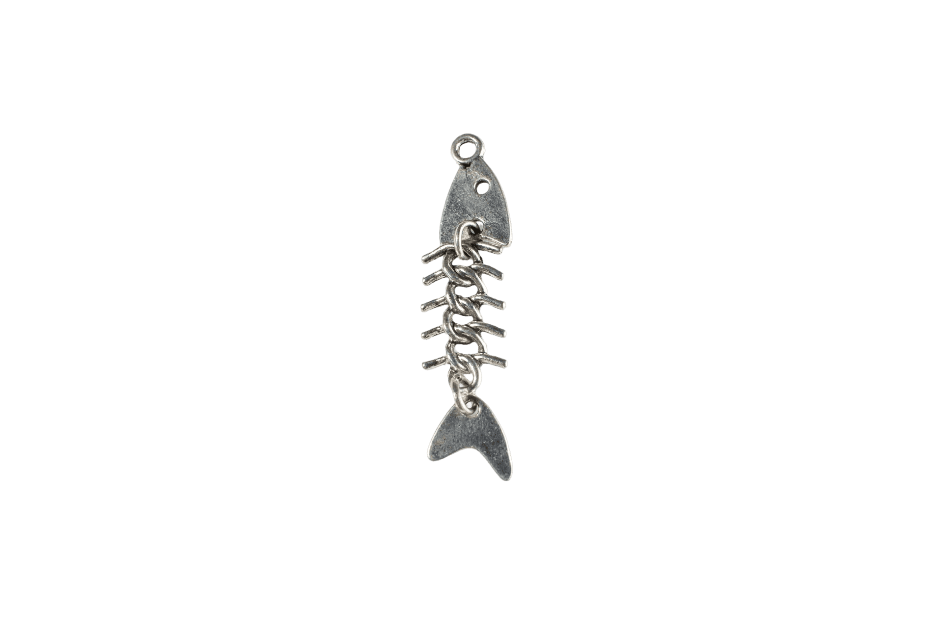 Fish Skeleton Charm