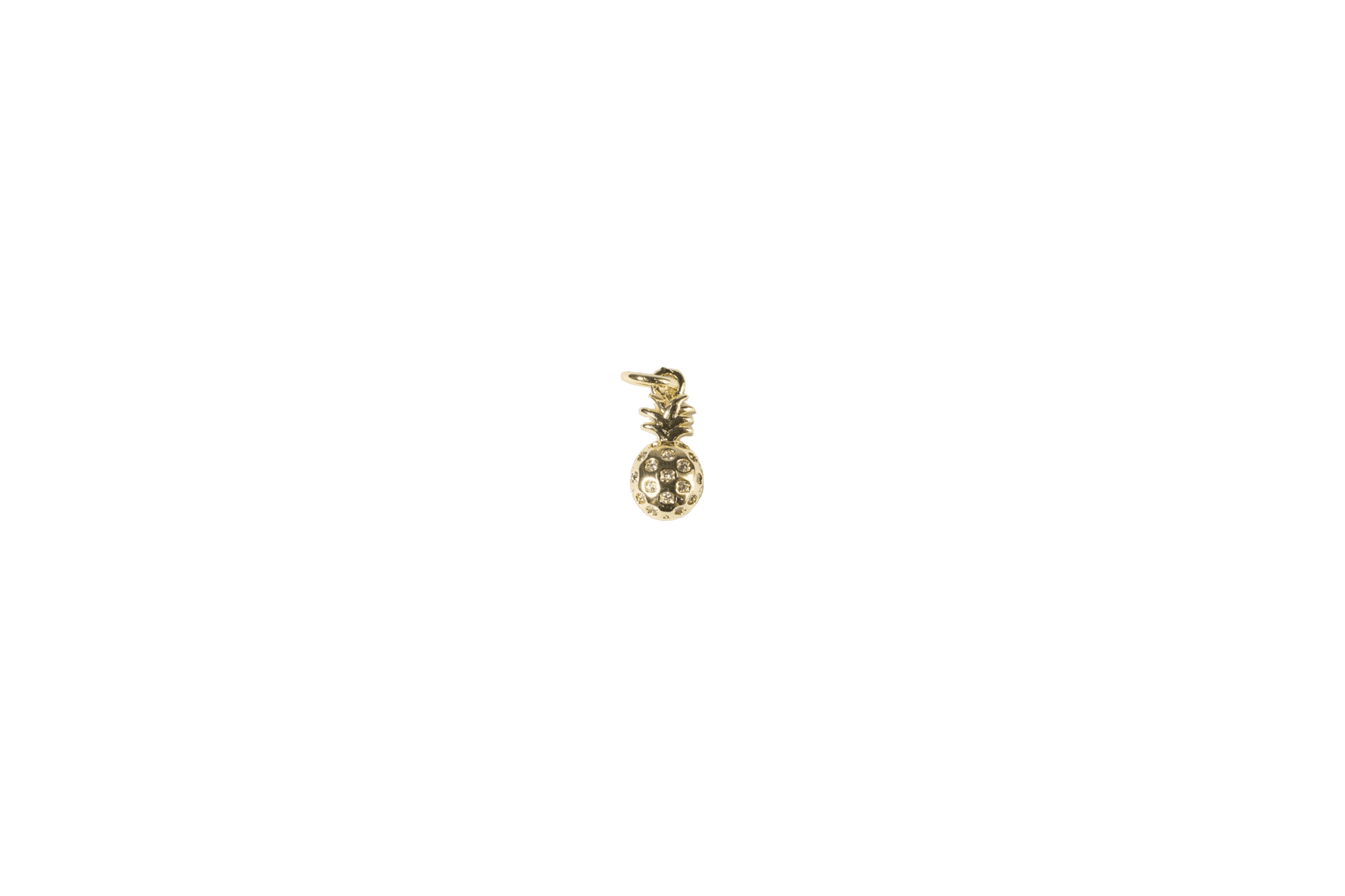 Pineapple Charm