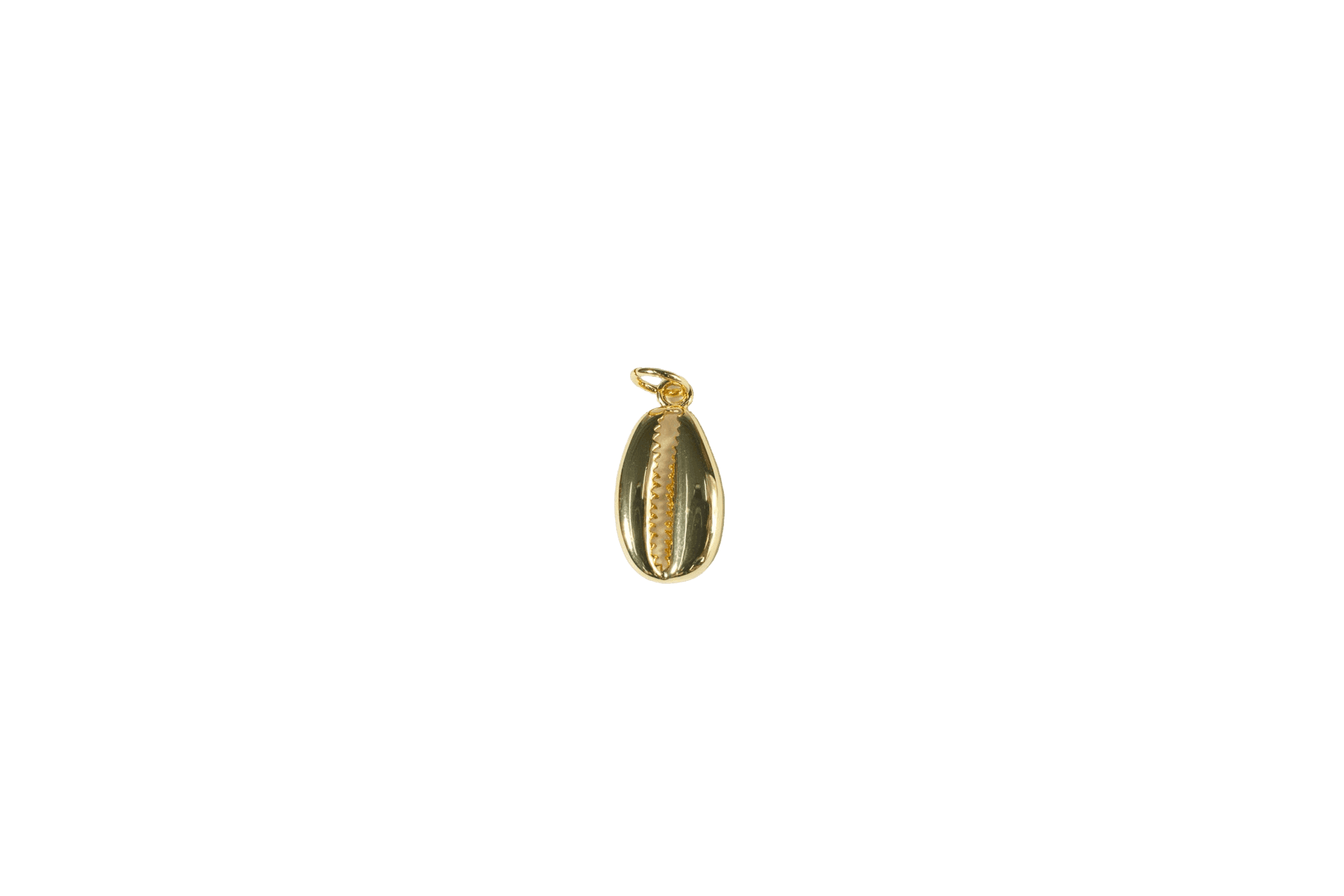 Cowrie Shell Charm