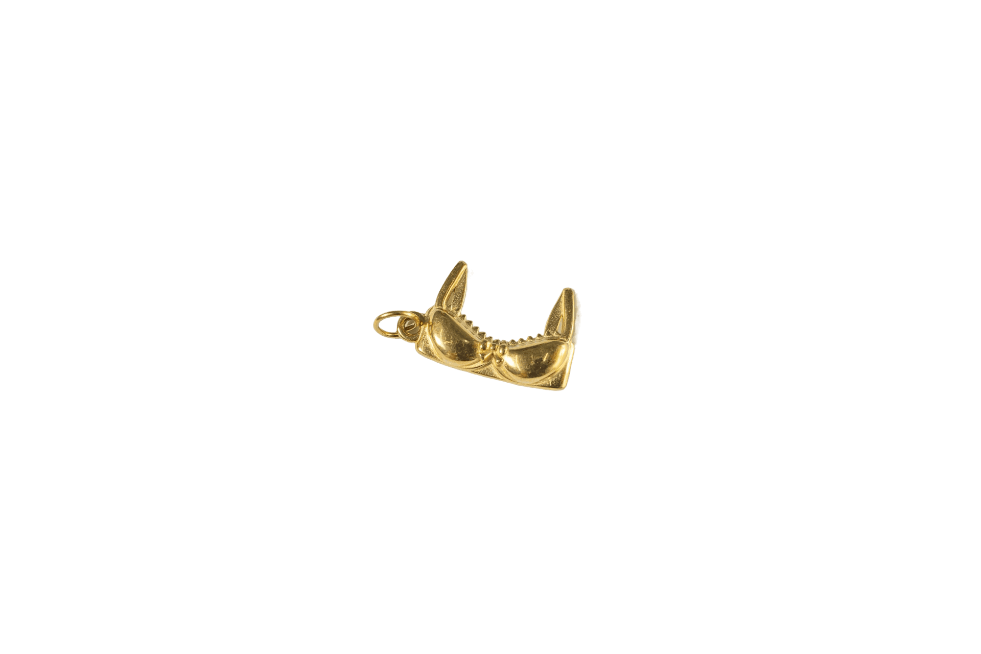 Bra Charm